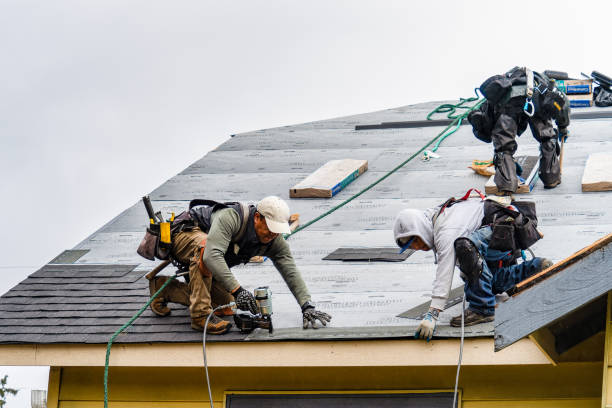 Professional Gutter Installation technician working in Buckingham, VA